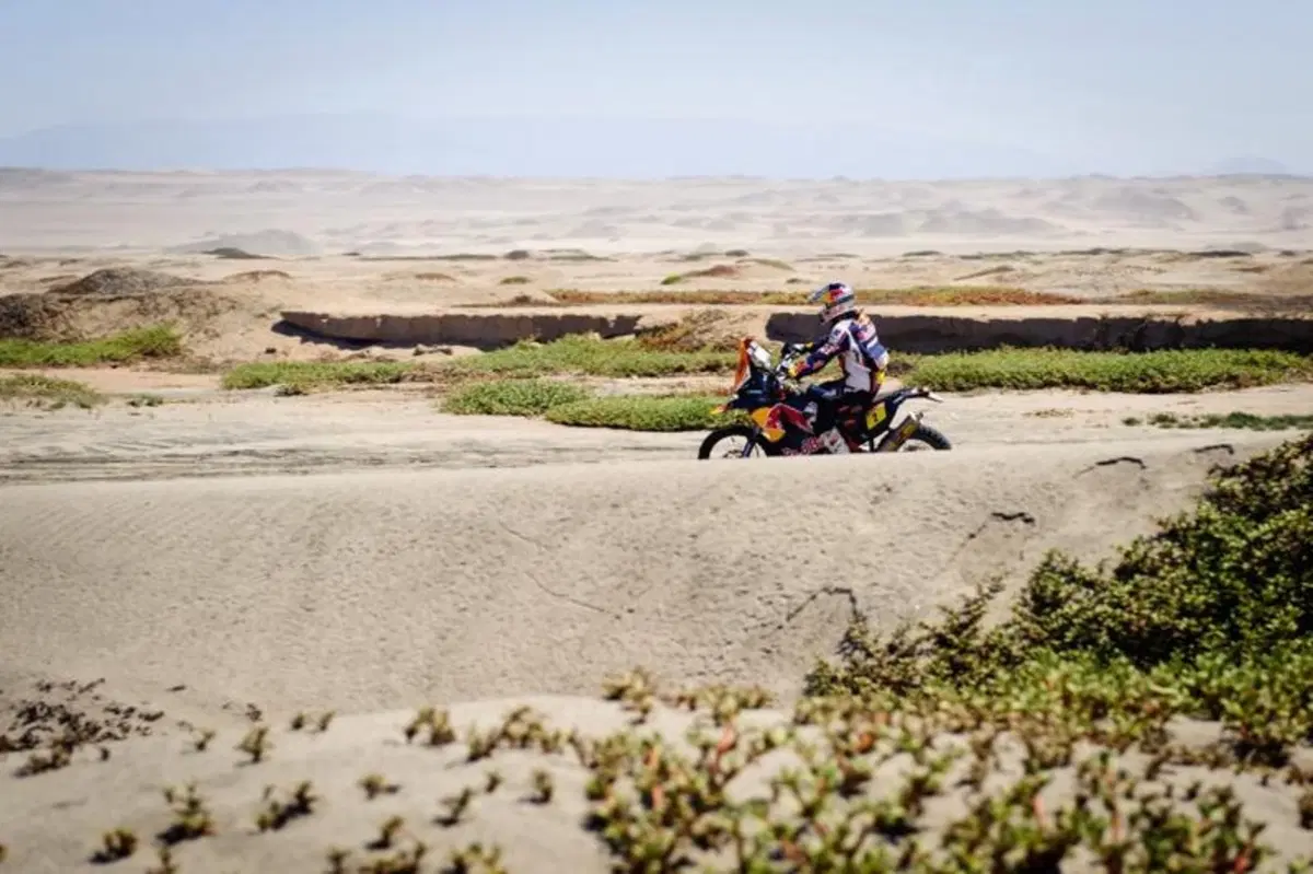 Intervista. Cyril Despres: "La mia quarta vittoria alla Dakar" (26)
