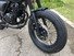 Mutt Motorcycles Hilts 250 (2019 - 20) (9)