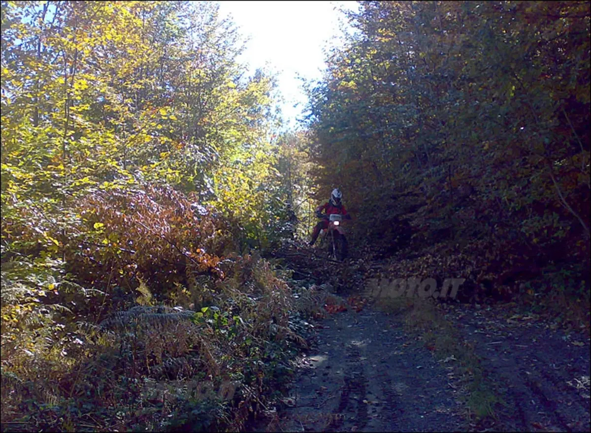 La Porte Du Desert: a scuola di rally (12)