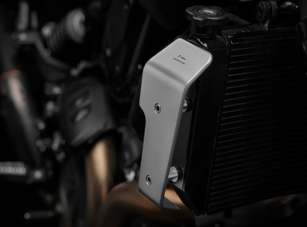 Rizoma per la Indian FTR 1200 (6)