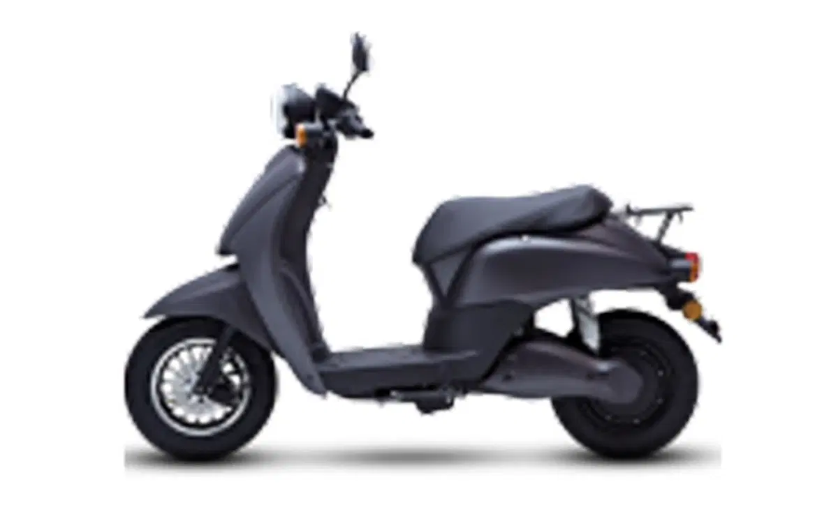 Ecobit Pony Pony (2019 - 20) (2)