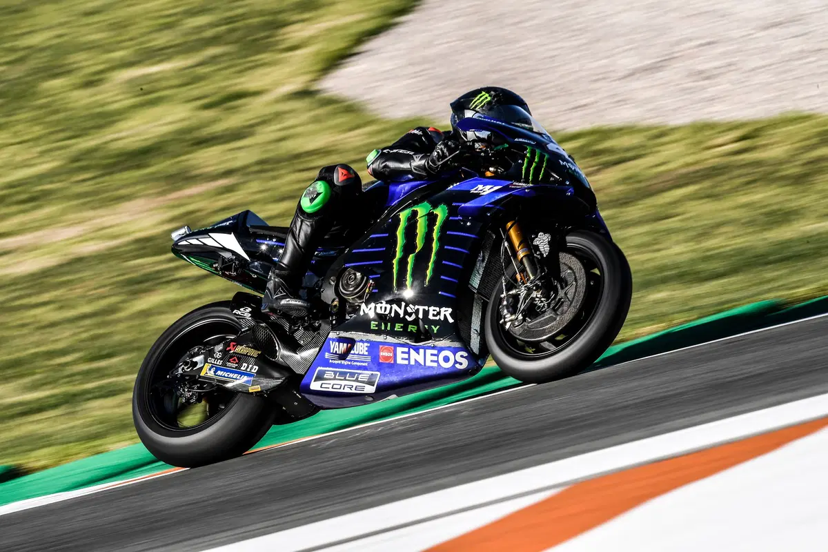 Valentino Rossi e Lewis Hamilton, il video e le foto più belle (27)