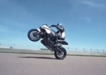 Video - Suzuki Katana stunt girls