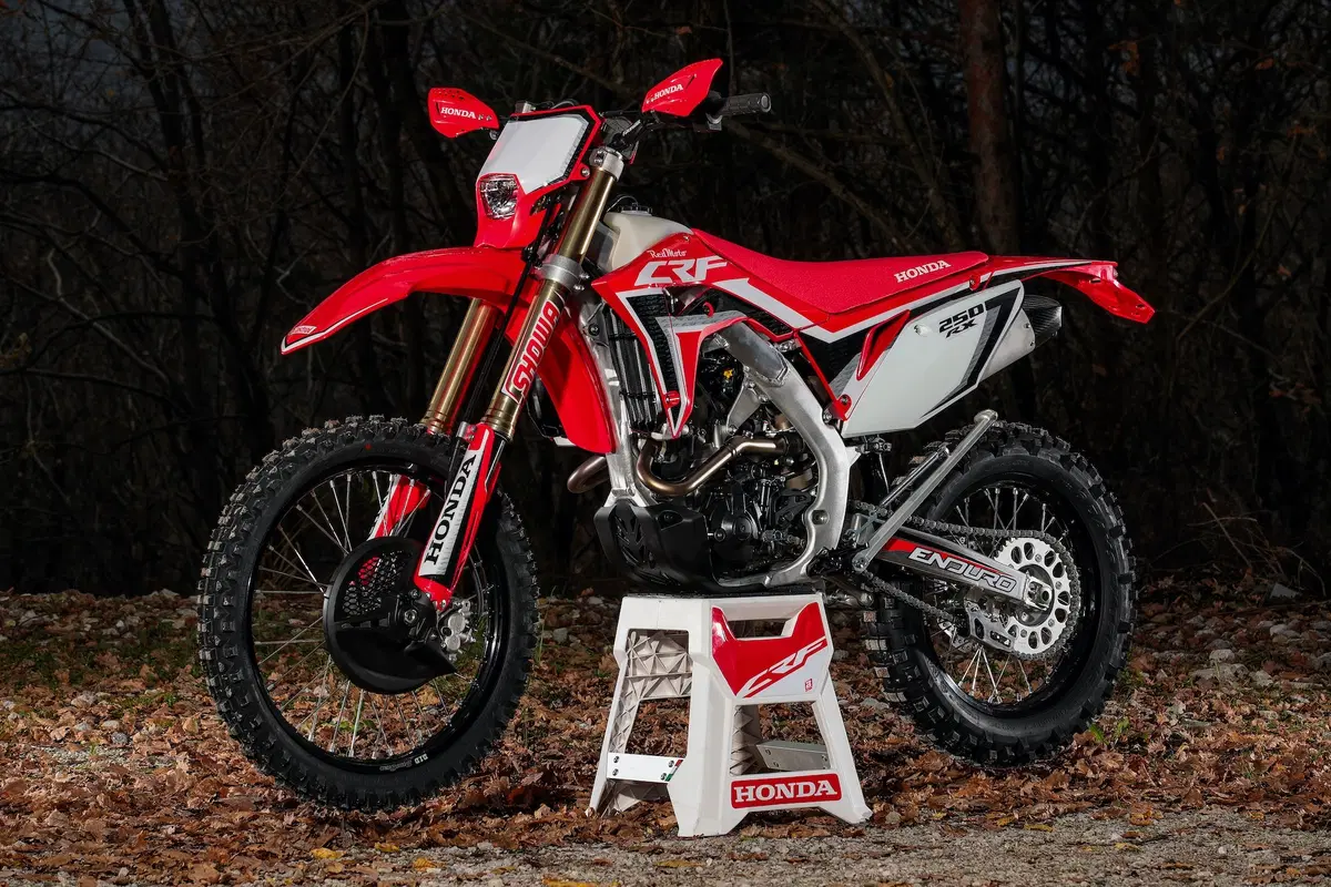 Honda CRF-RX 2020: Potenza sotto controllo (2)