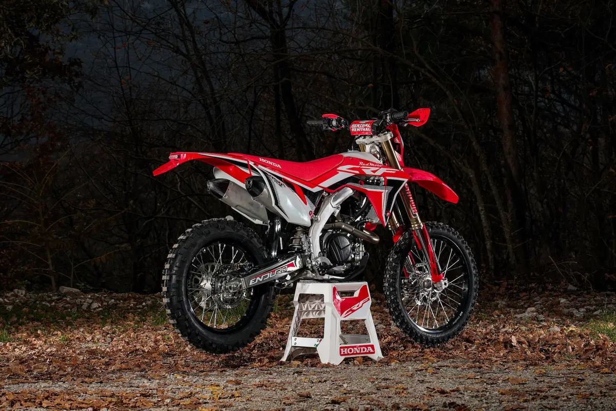 Honda CRF-RX 2020: Potenza sotto controllo (3)