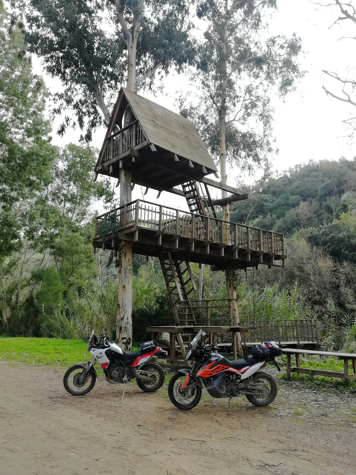 In Sardegna coi Pastori in Moto: siamo stati al Raid degli oliveti (23)