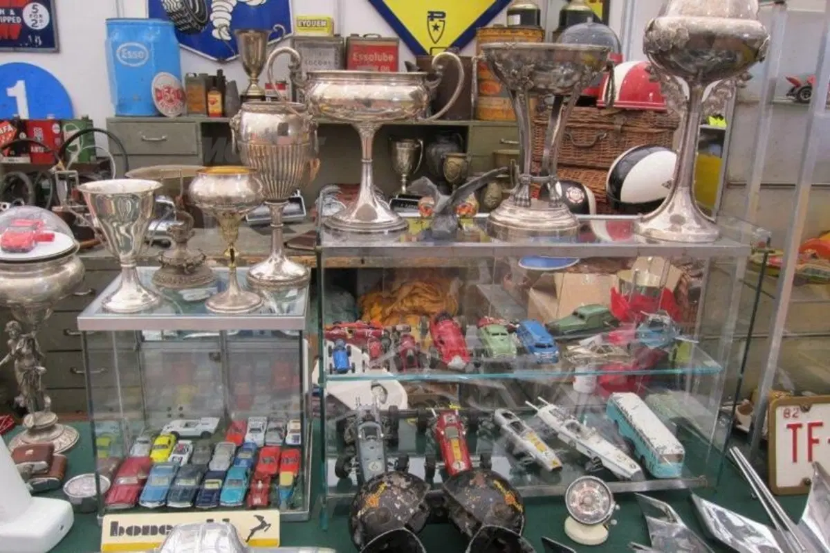 Le immagini più belle della mostra-scambio di Novegro (34)