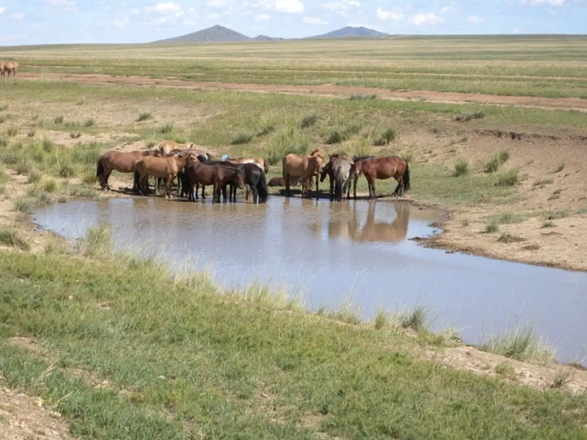 Dall’Italia alla Mongolia (24)