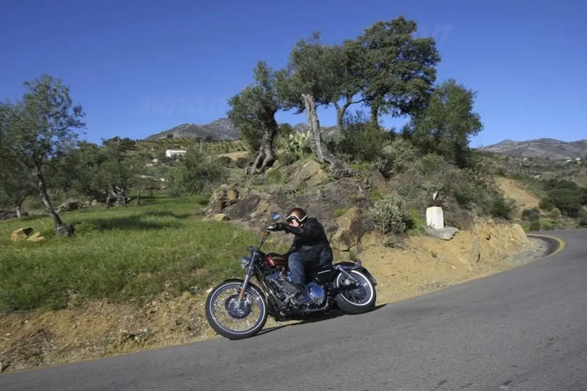 Harley-Davidson Seventy-Two  (6)