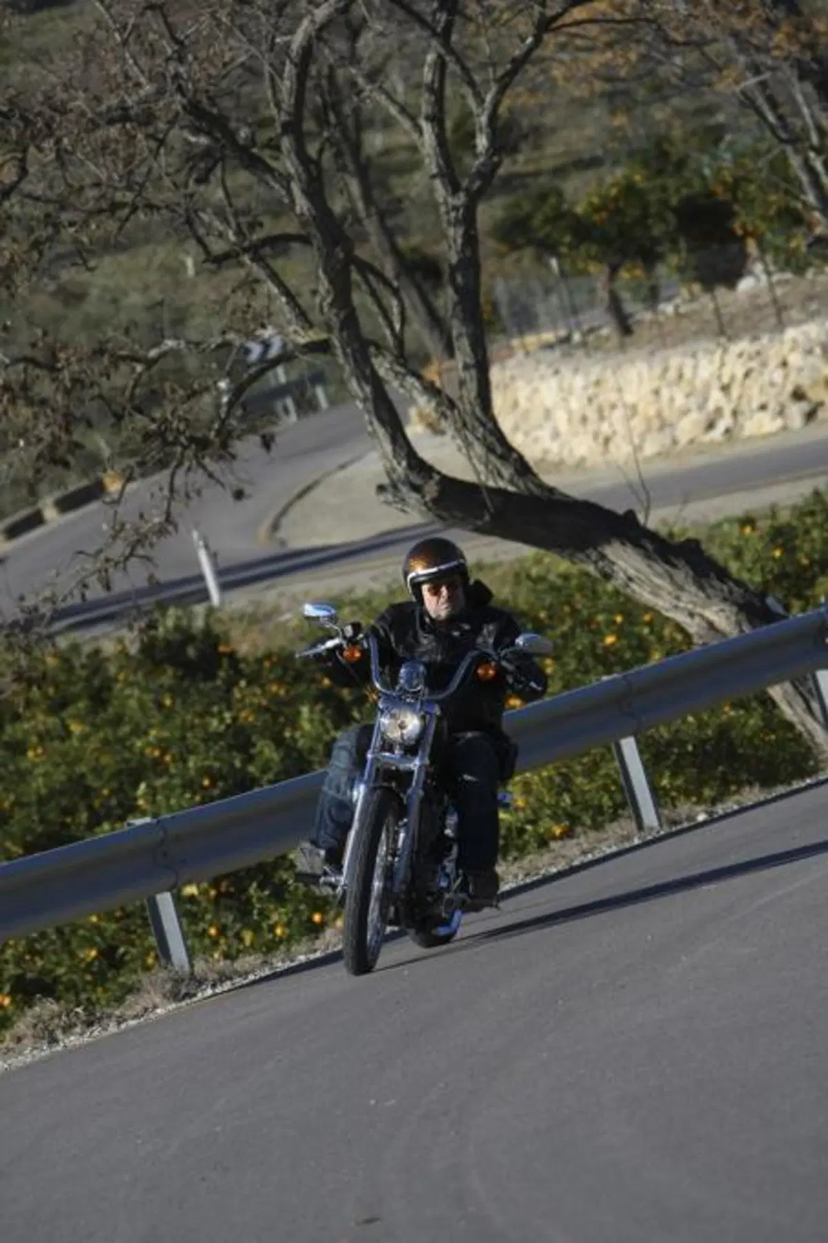 Harley-Davidson Seventy-Two  (14)