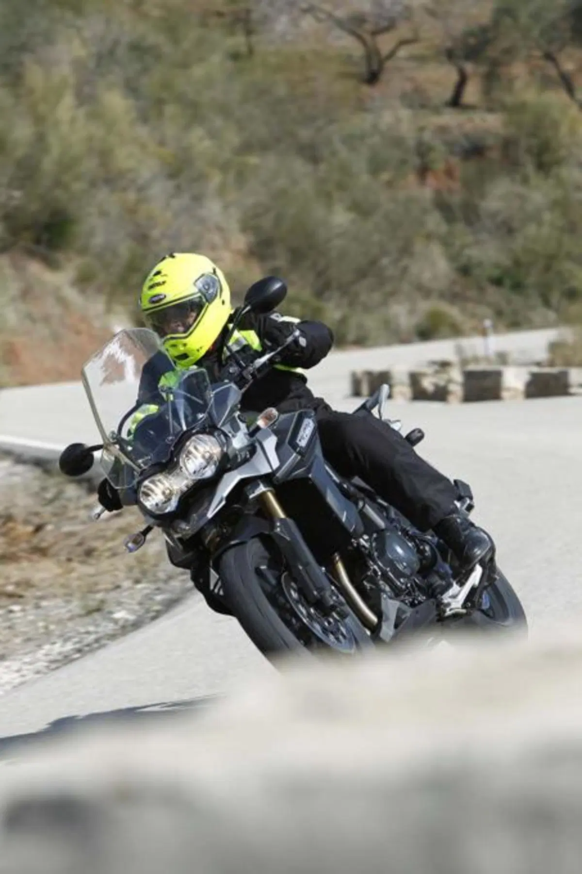 Triumph Tiger 1200 Explorer  (15)