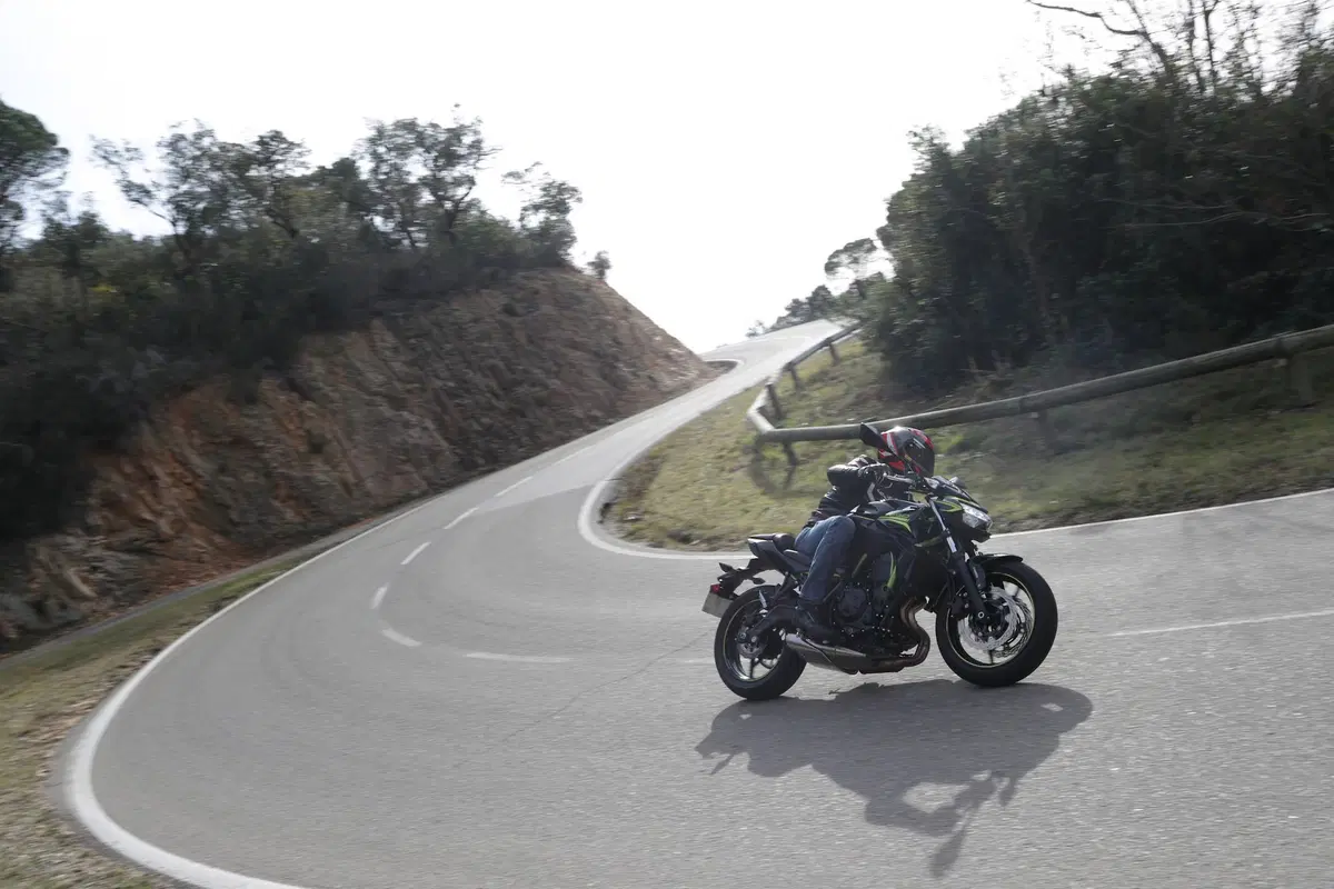 Kawasaki Z650 2020, TEST: squadra che vince, non si cambia! (6)