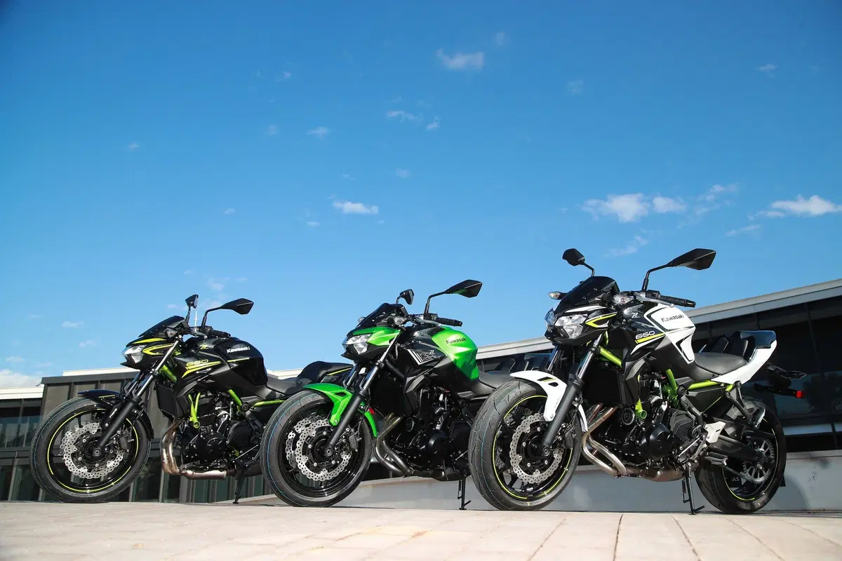 Kawasaki Z650 2020, TEST: squadra che vince, non si cambia! (10)