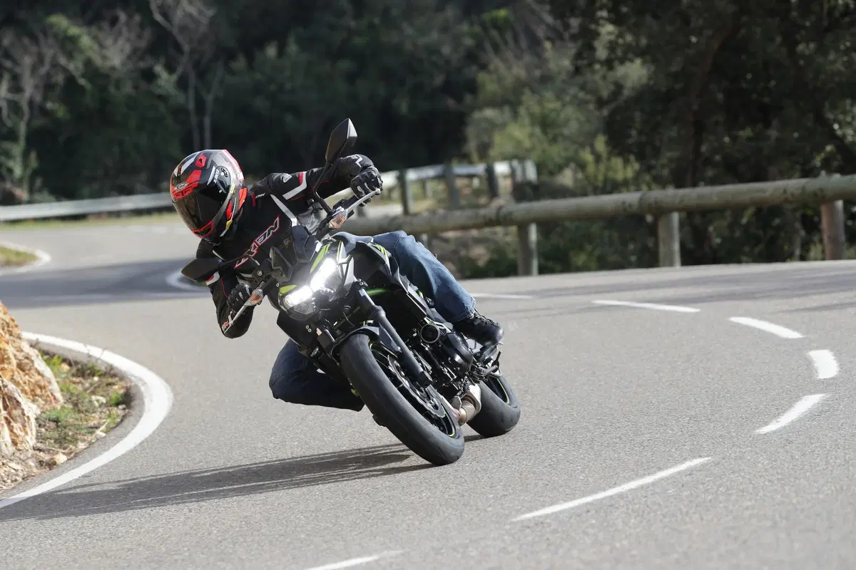 Kawasaki Z650 2020, TEST: squadra che vince, non si cambia! (8)