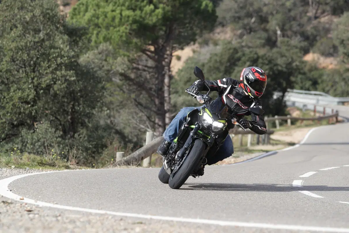 Kawasaki Z650 2020, TEST: squadra che vince, non si cambia! (11)