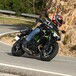 Kawasaki Z650 2020, TEST: squadra che vince, non si cambia!