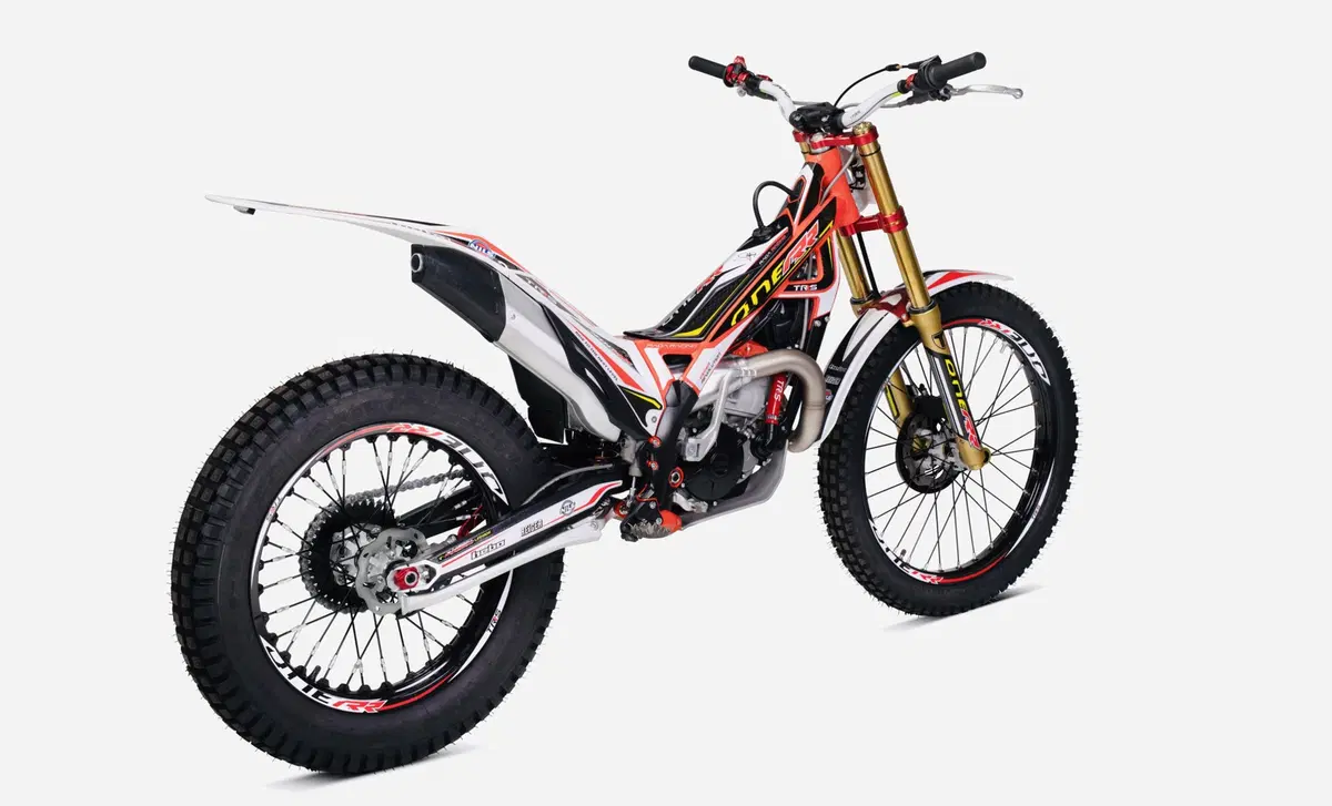 TRS Motorcycles One 300 One 300 RR (2020) (6)