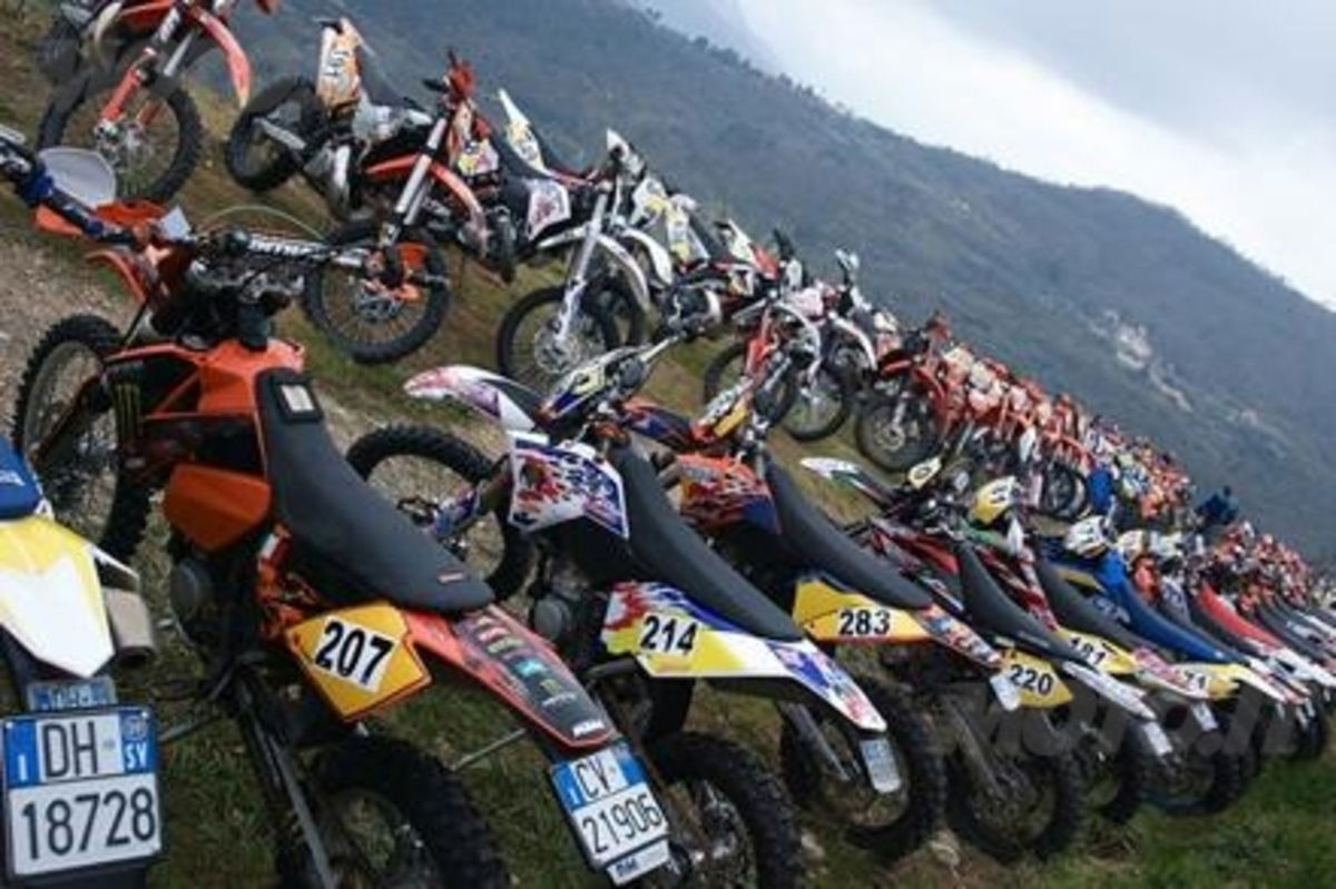 Targa sostitutiva gialla enduro - Entrophy Motorbike