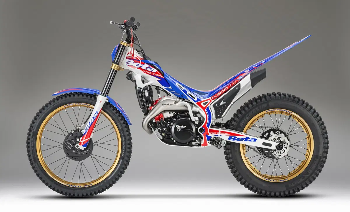 Betamotor Evo 300 Evo 300 2t Factory (2020) (6)