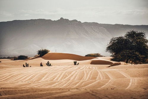 Africa Eco Race. D-8. Poskitt, KTM, nell’affresco di Tidjikja (4)