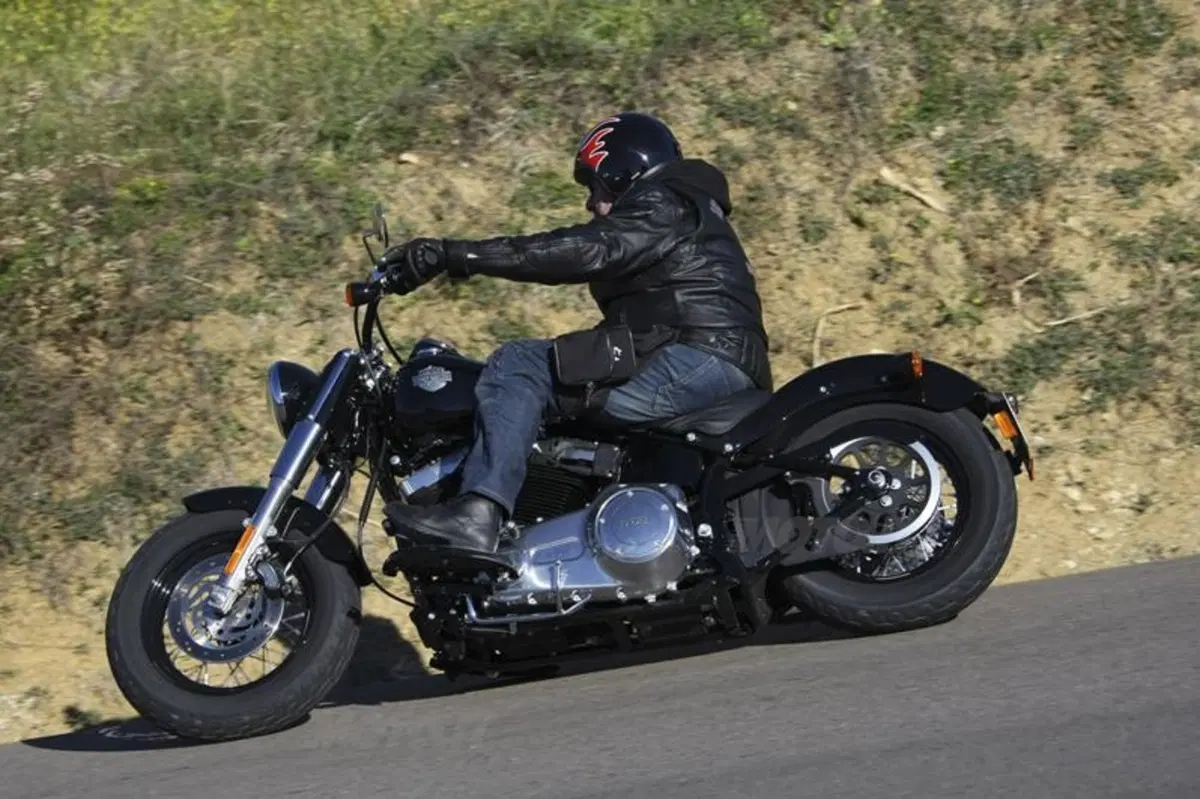 Harley-Davidson Softail Slim  (3)