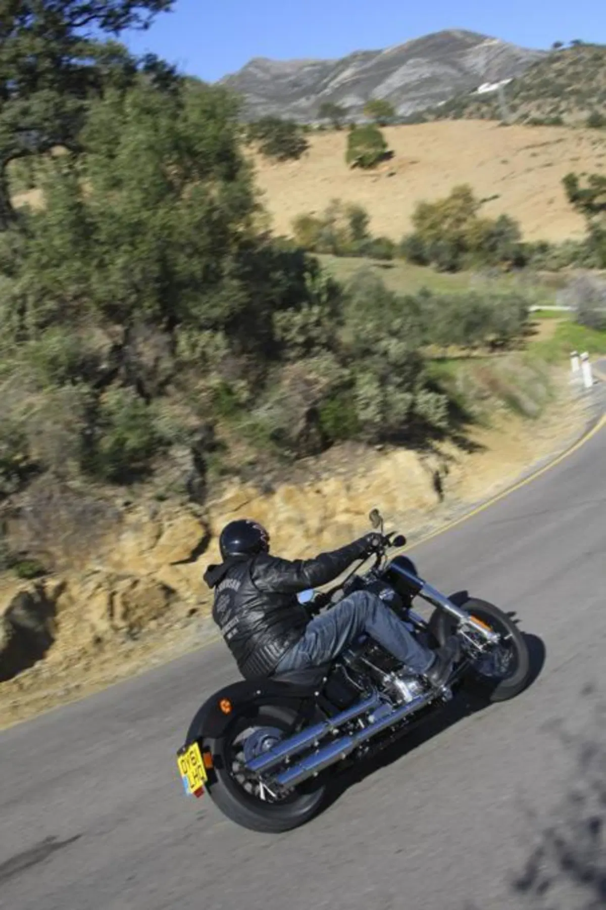 Harley-Davidson Softail Slim  (4)