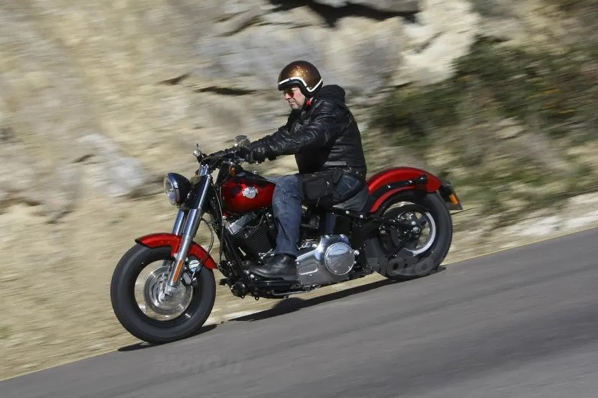 Harley-Davidson Softail Slim  (7)