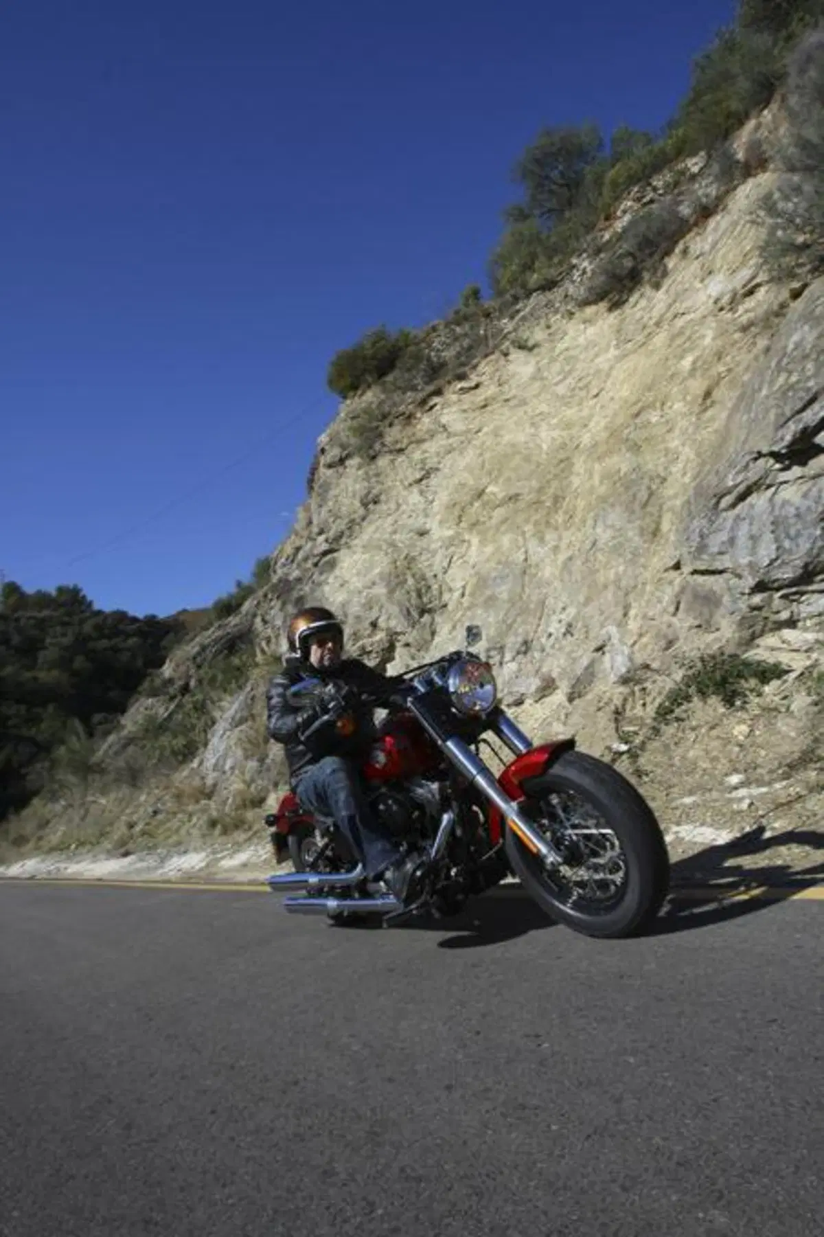 Harley-Davidson Softail Slim  (9)