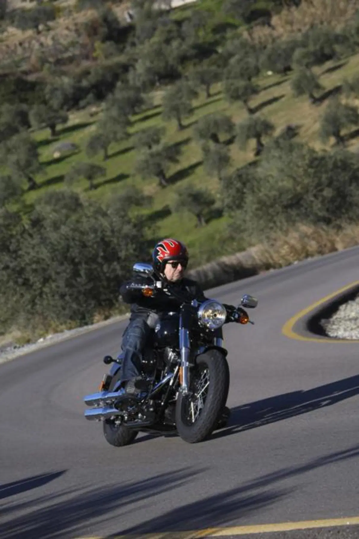 Harley-Davidson Softail Slim  (10)