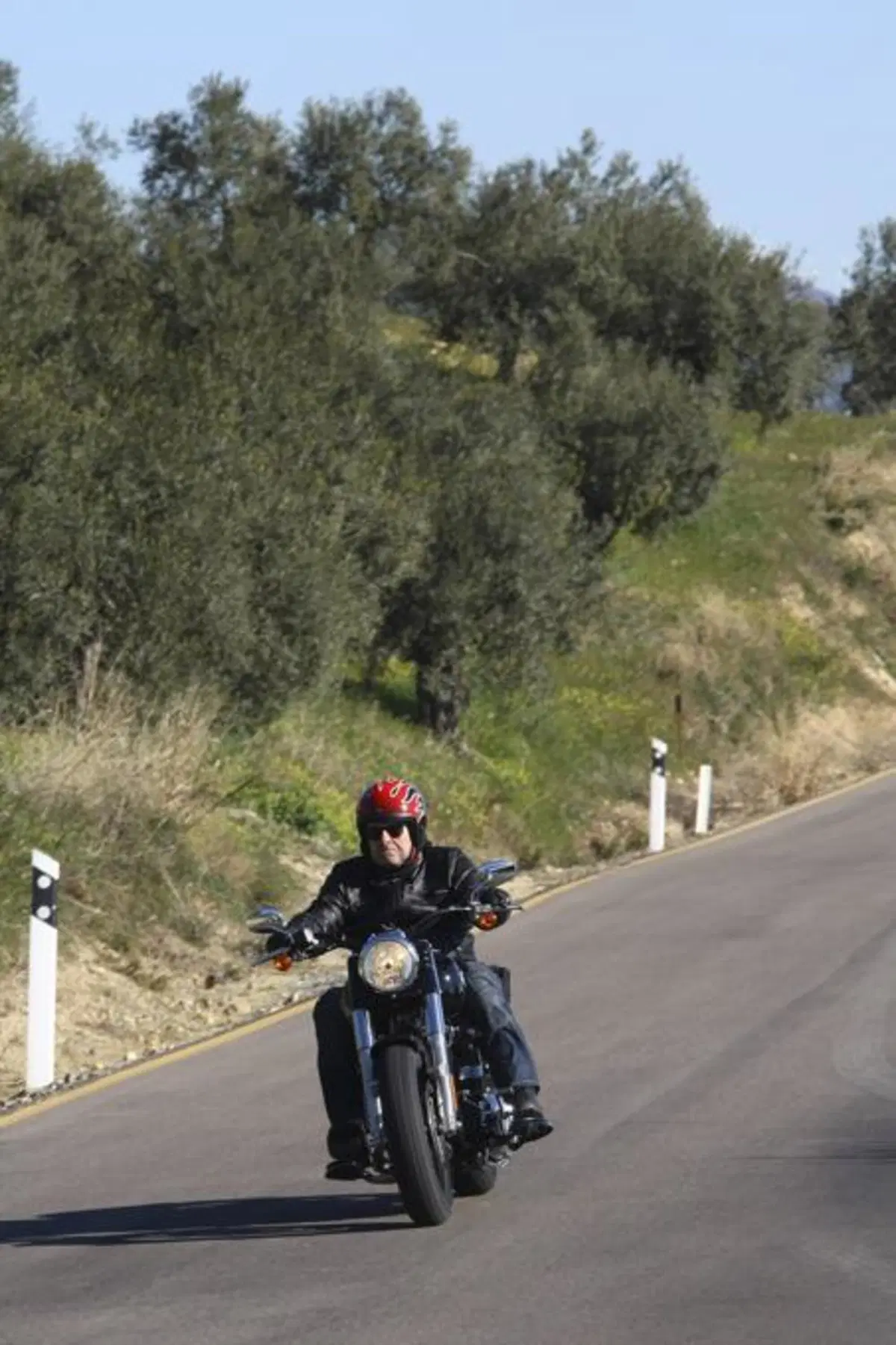 Harley-Davidson Softail Slim  (11)