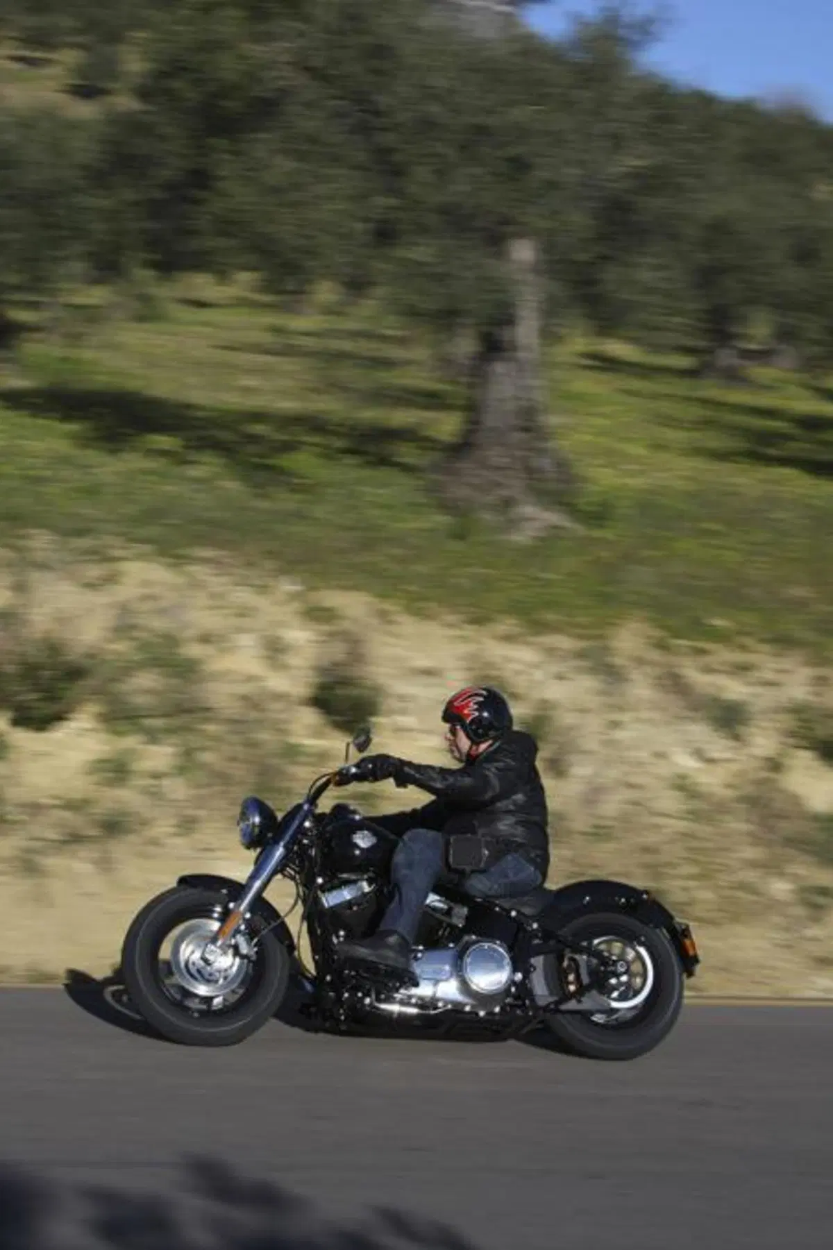 Harley-Davidson Softail Slim  (12)