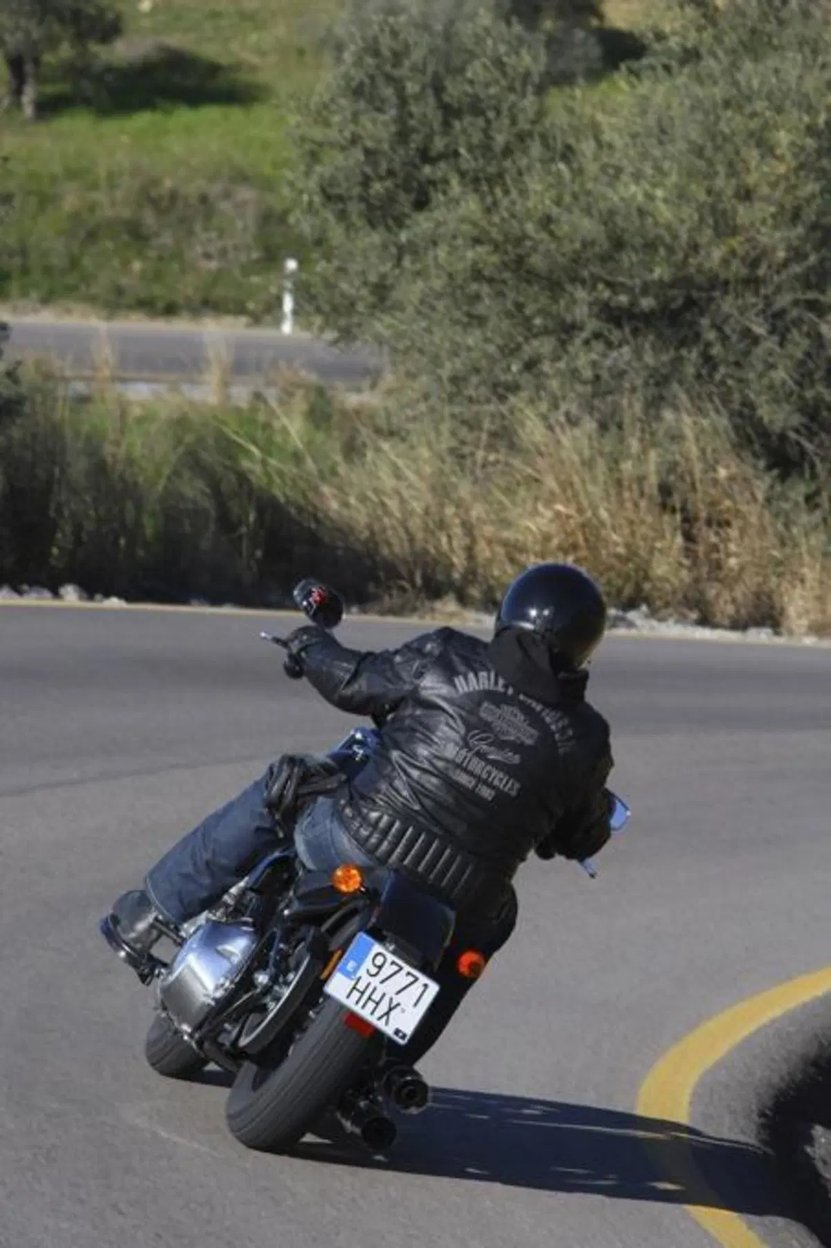 Harley-Davidson Softail Slim  (13)