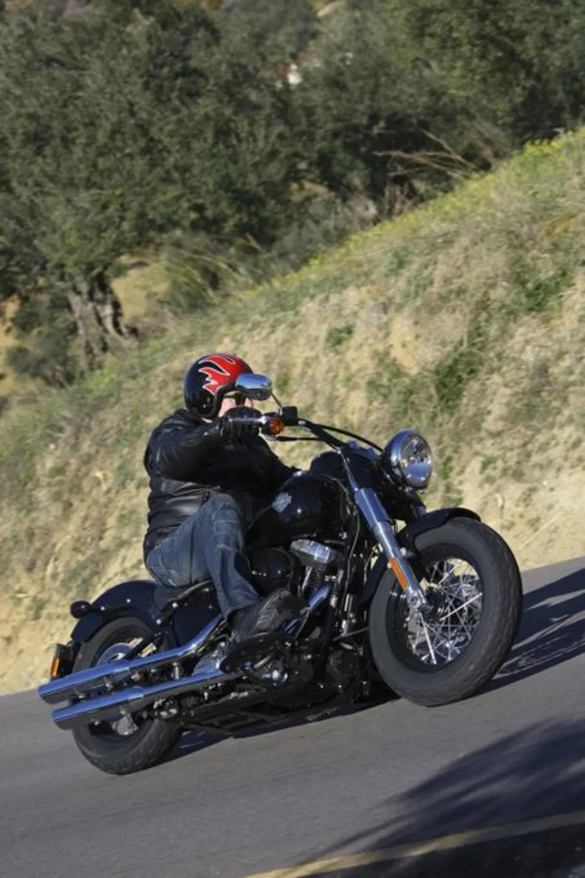 Harley-Davidson Softail Slim  (14)