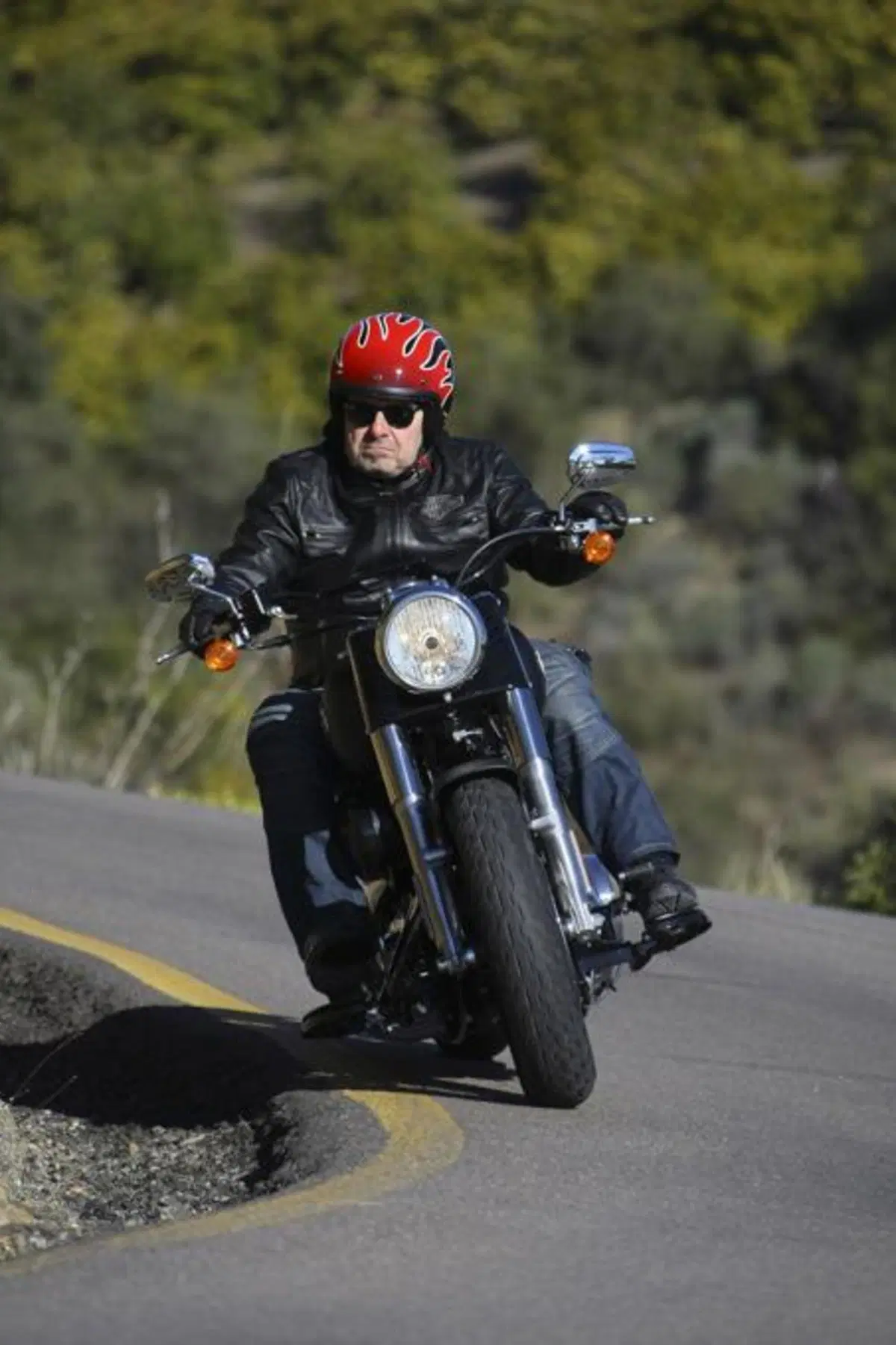 Harley-Davidson Softail Slim  (16)