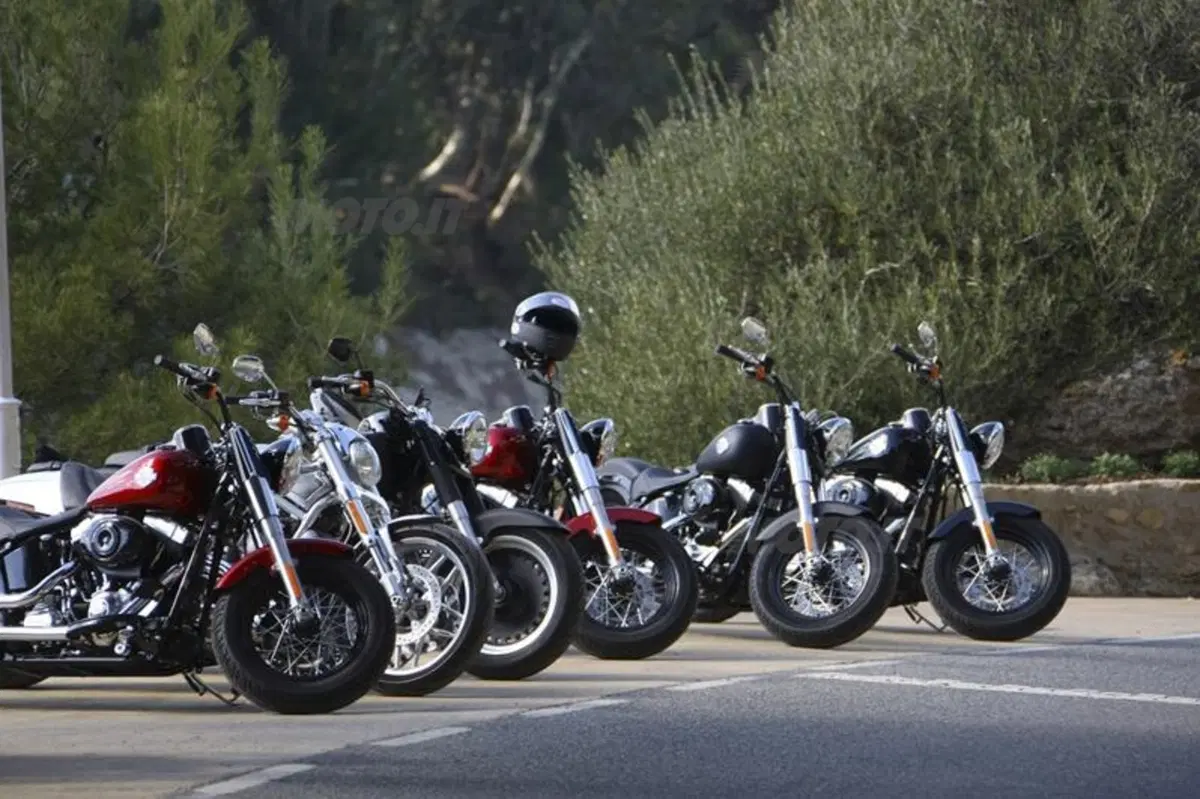 Harley-Davidson Softail Slim  (17)