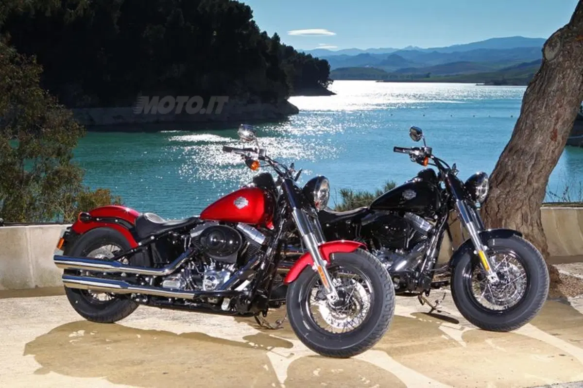 Harley-Davidson Softail Slim  (18)