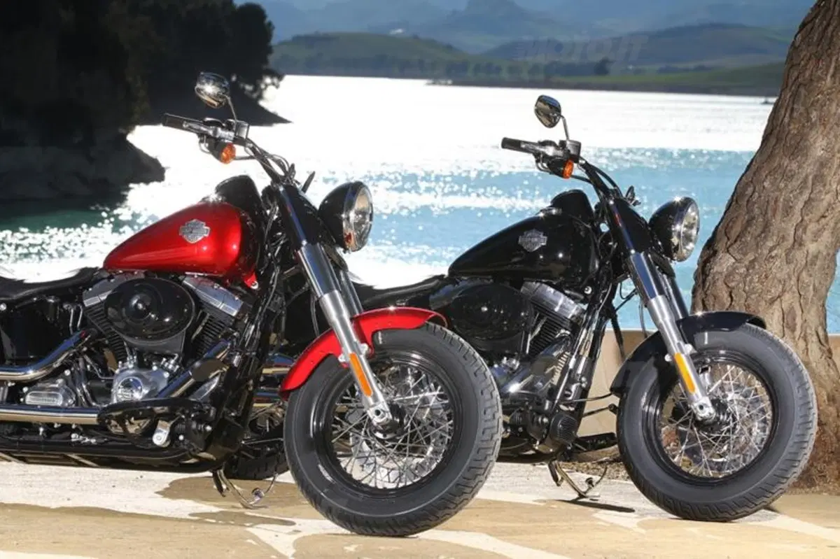 Harley-Davidson Softail Slim  (19)