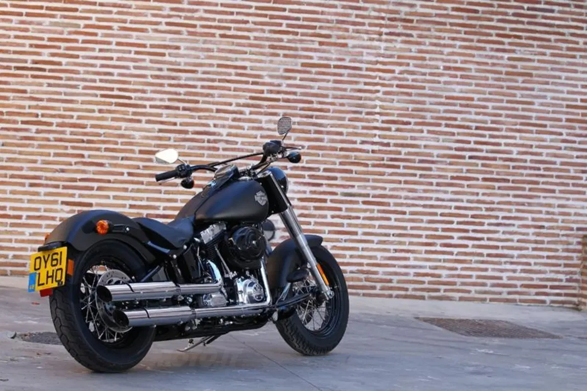 Harley-Davidson Softail Slim  (20)