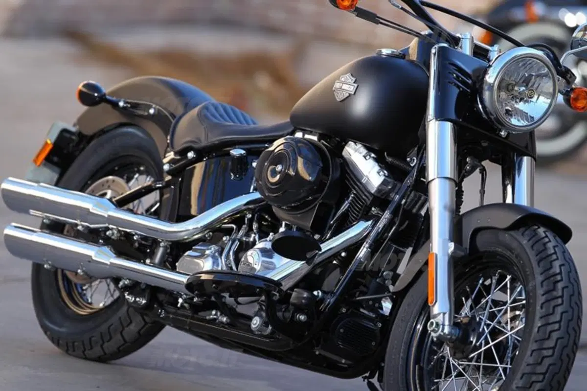 Harley-Davidson Softail Slim  (21)