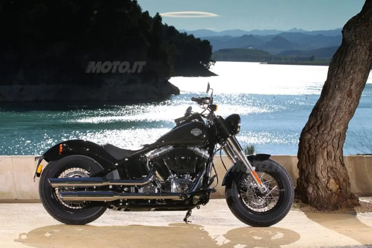 Harley-Davidson Softail Slim  (22)
