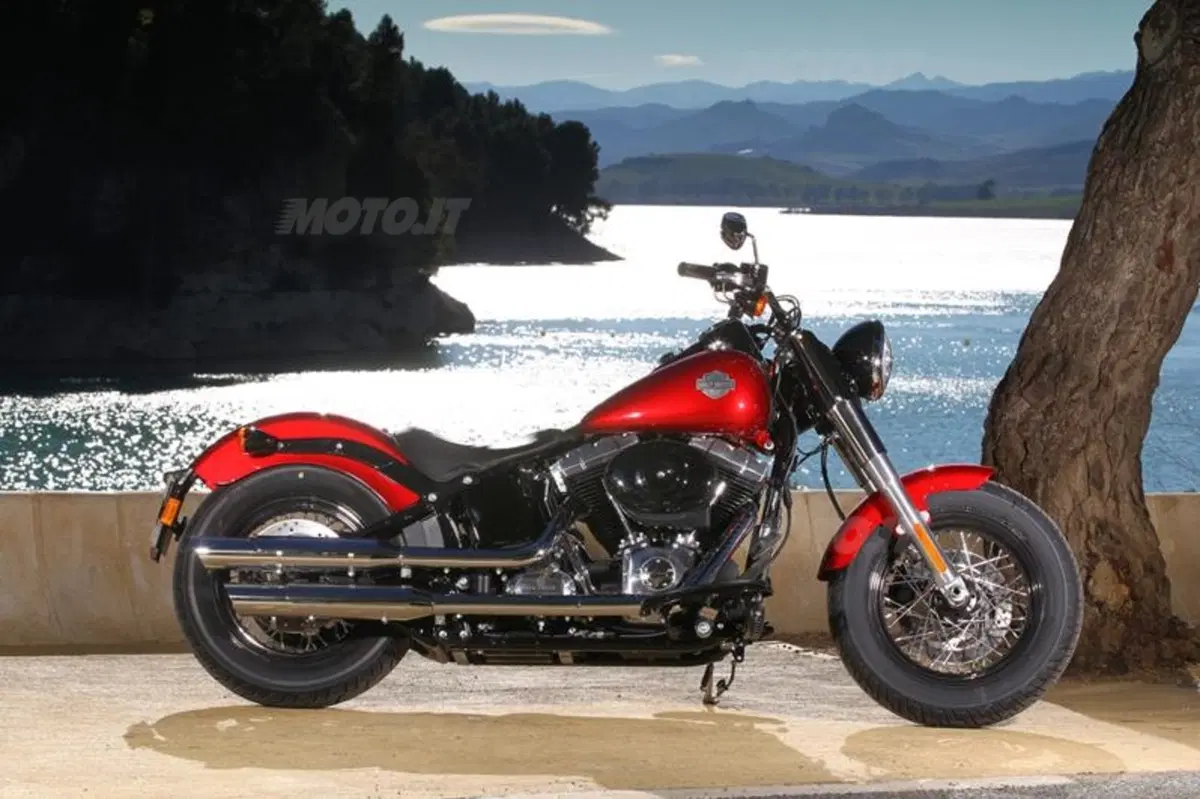Harley-Davidson Softail Slim  (24)