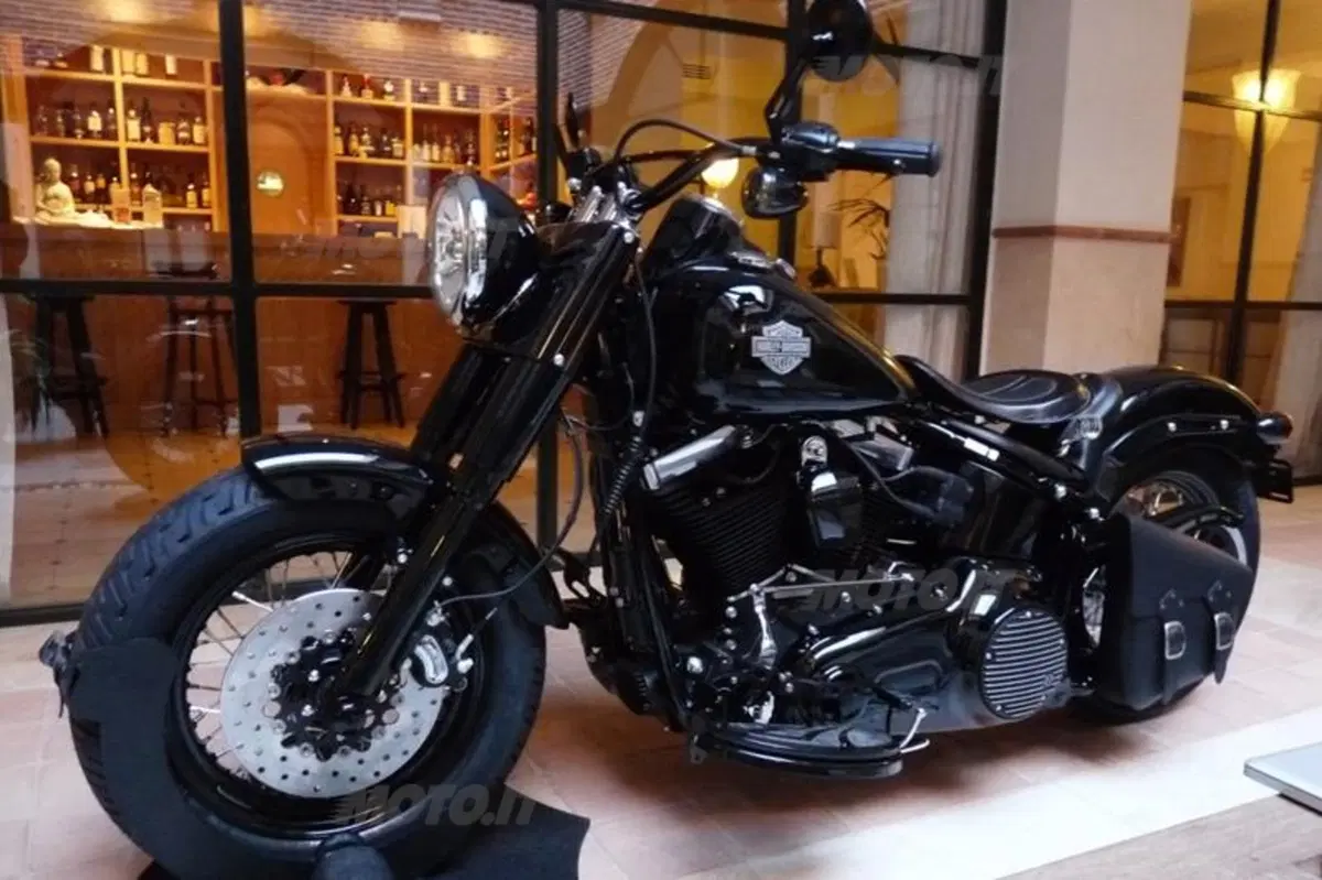 Harley-Davidson Softail Slim  (26)