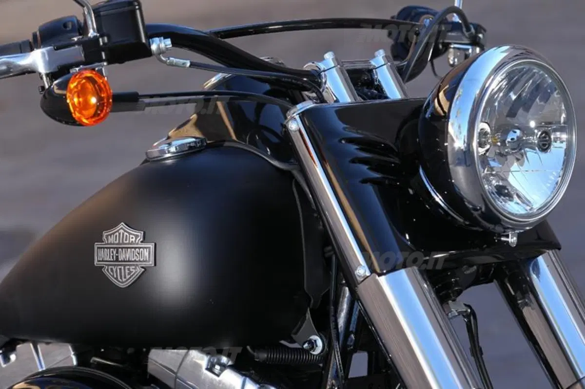 Harley-Davidson Softail Slim  (29)