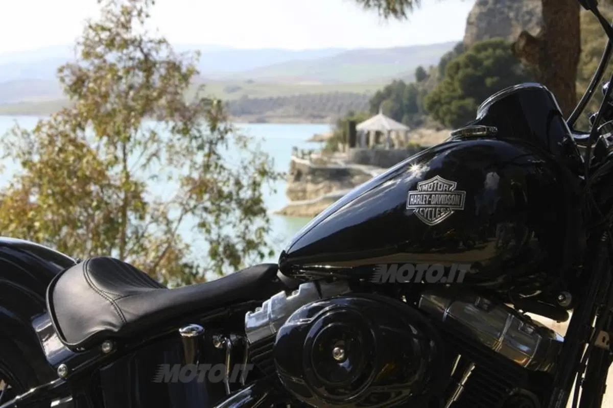 Harley-Davidson Softail Slim  (31)