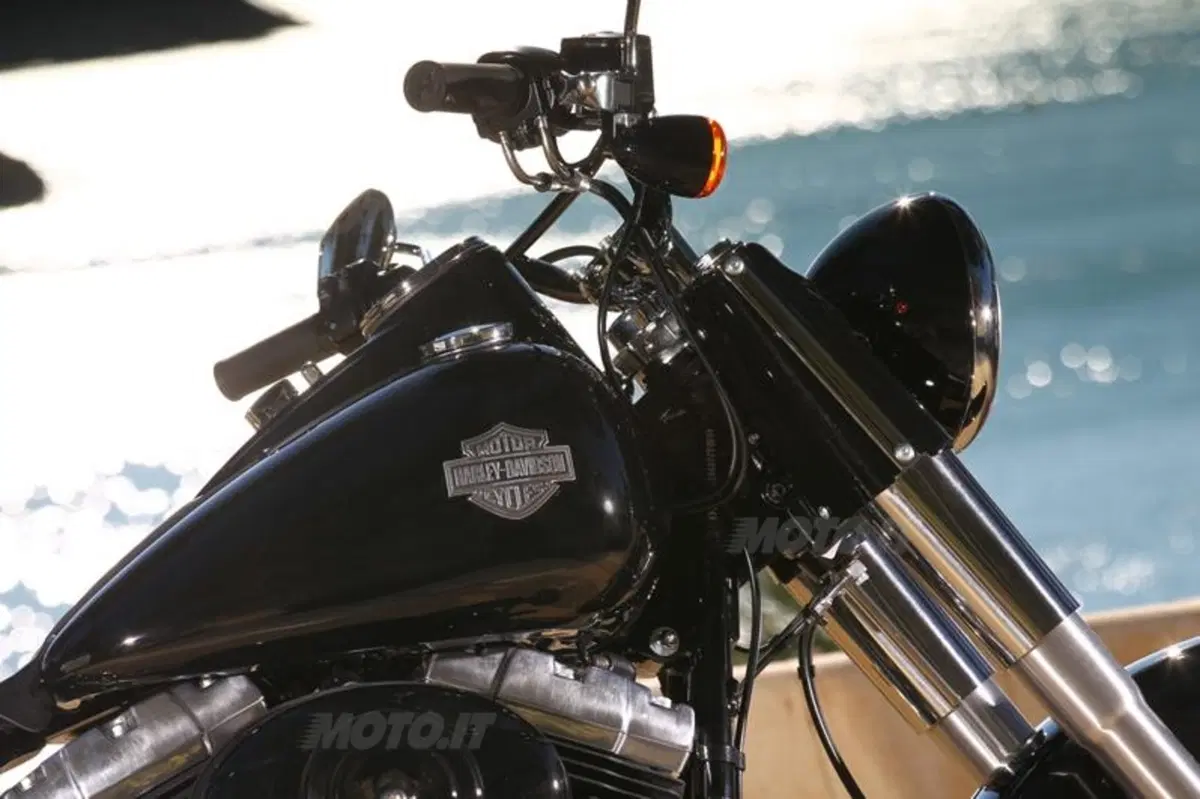 Harley-Davidson Softail Slim  (32)