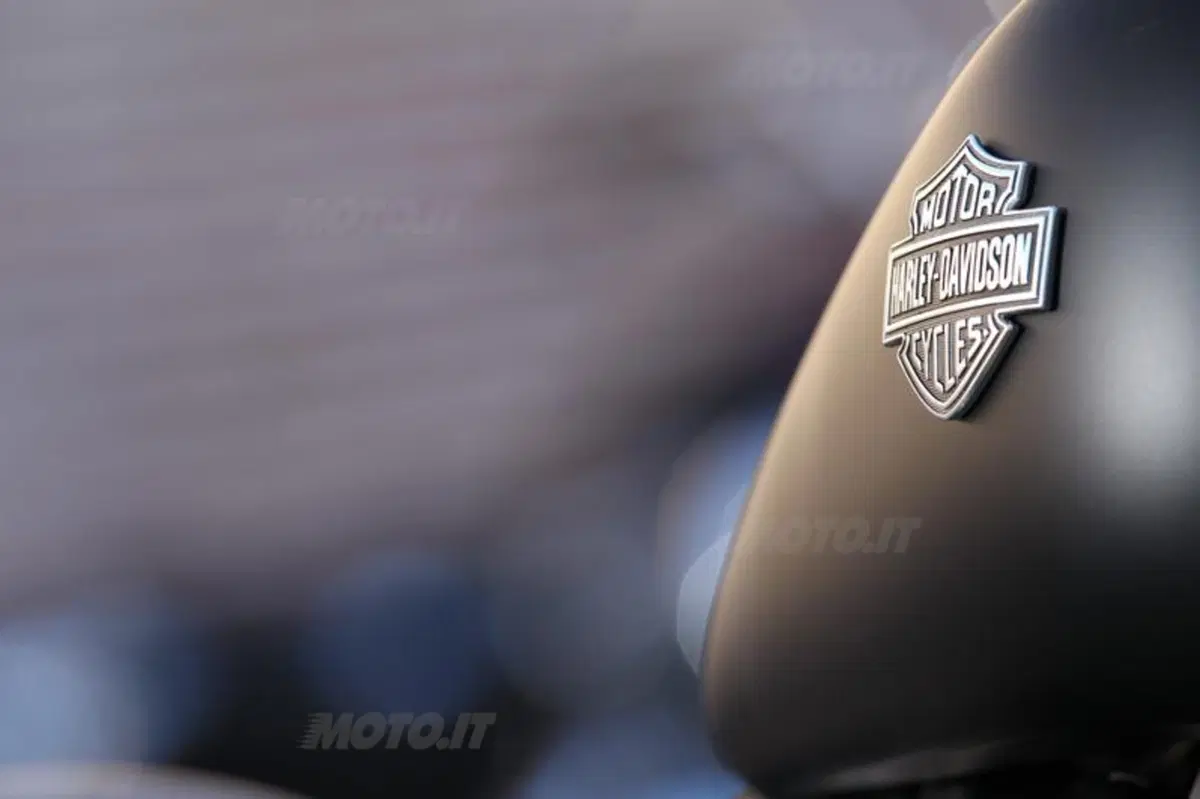 Harley-Davidson Softail Slim  (34)