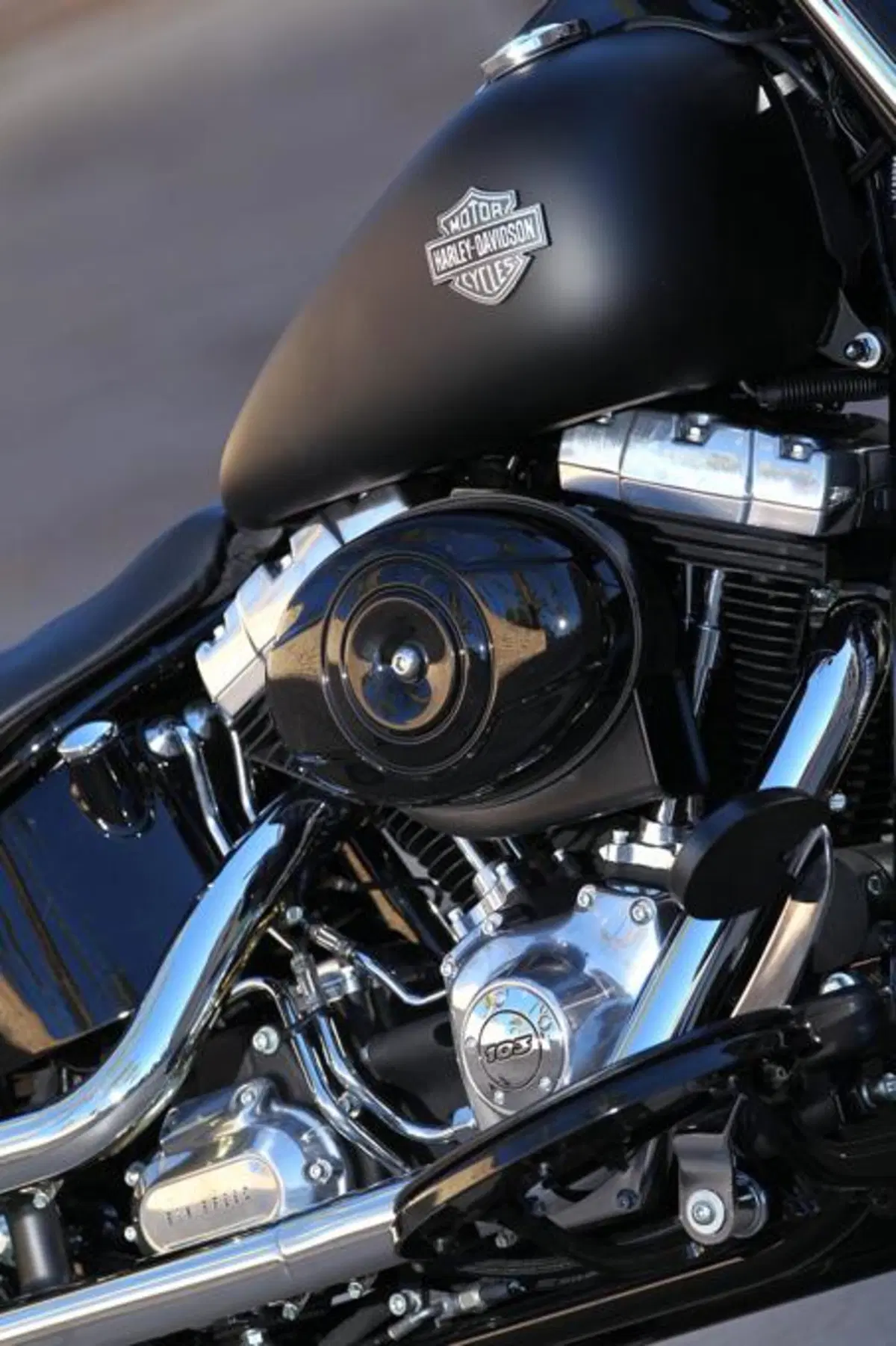 Harley-Davidson Softail Slim  (37)