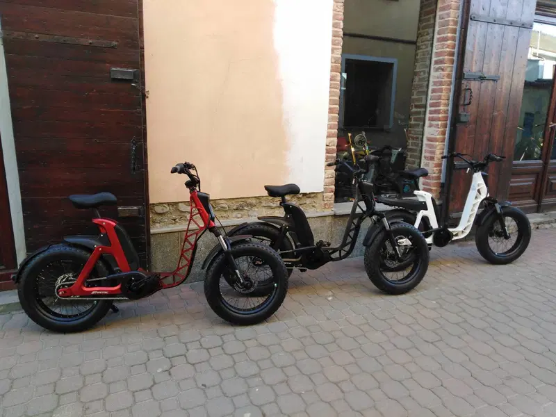 Fantic Motor Issimo (2019 - 23) (2)
