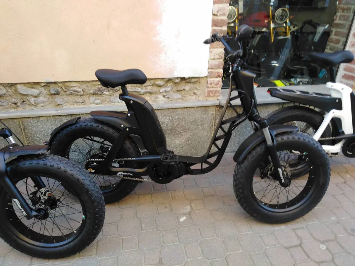 Fantic Motor Issimo (2019 - 23) (7)