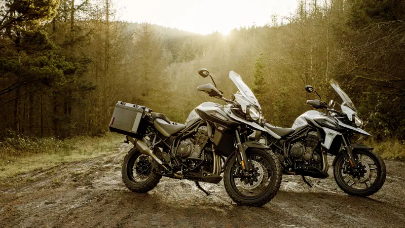 Triumph Tiger 1200, le nuove Desert e Alpine Edition 2020